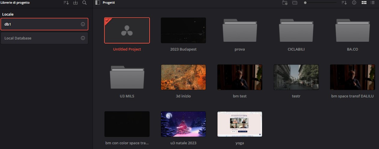 Schema Database DaVinci Resolve