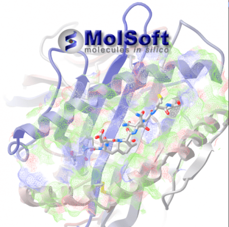 Molsoft ICM-Pro 3.9-3B (x64)