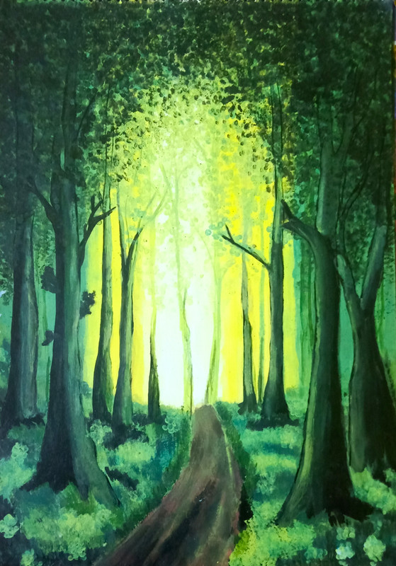 The Forest Path