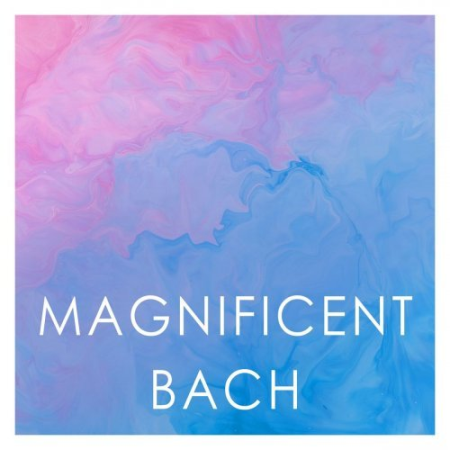 20cd9f12 ffca 4d10 9e88 de4f11a67208 - VA - Magnificent Bach (2020)