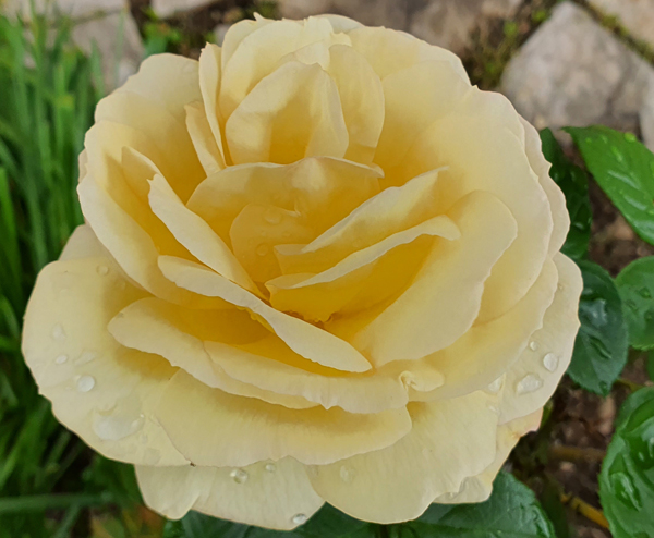 [Image: 20230429-113143.jpg]