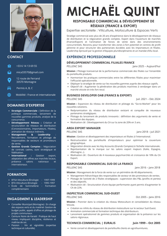 Modèle CV Canva 3