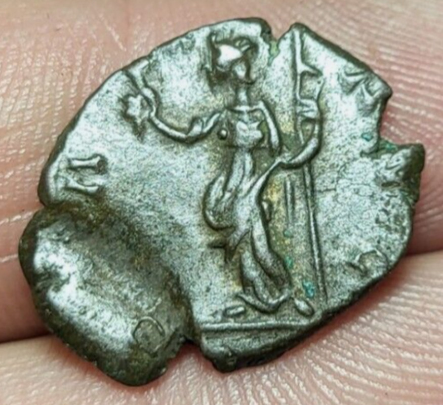 IMG 1845 — Postimages