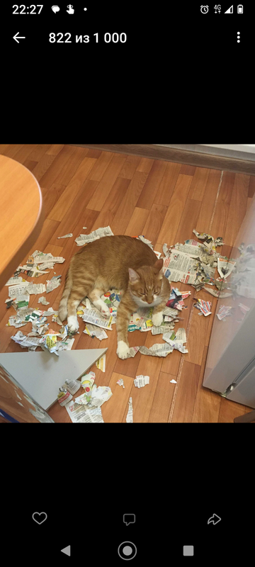 Screenshot_20230317-222714