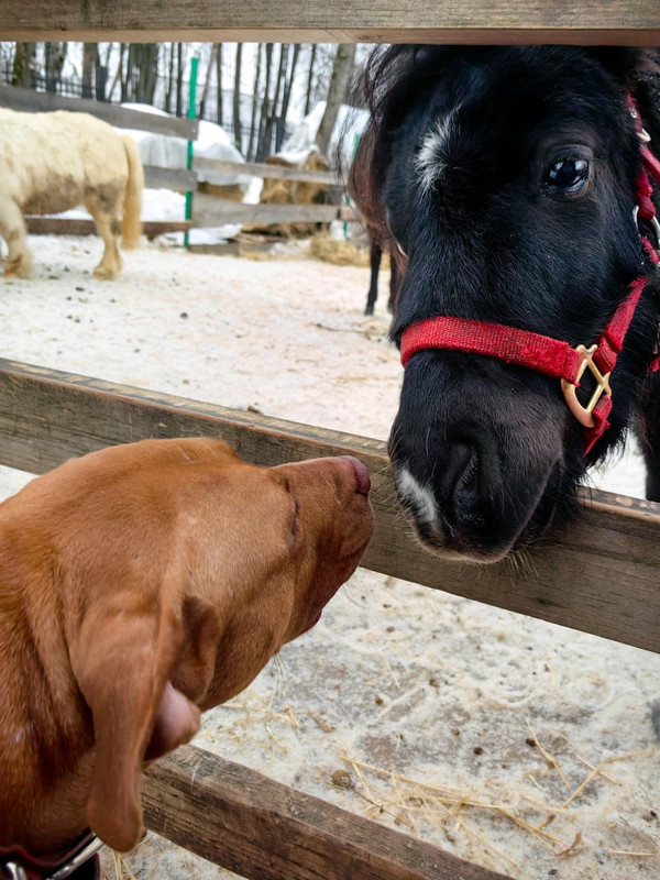 5728FC91-B52F-4753-8D61-FC03285654AF