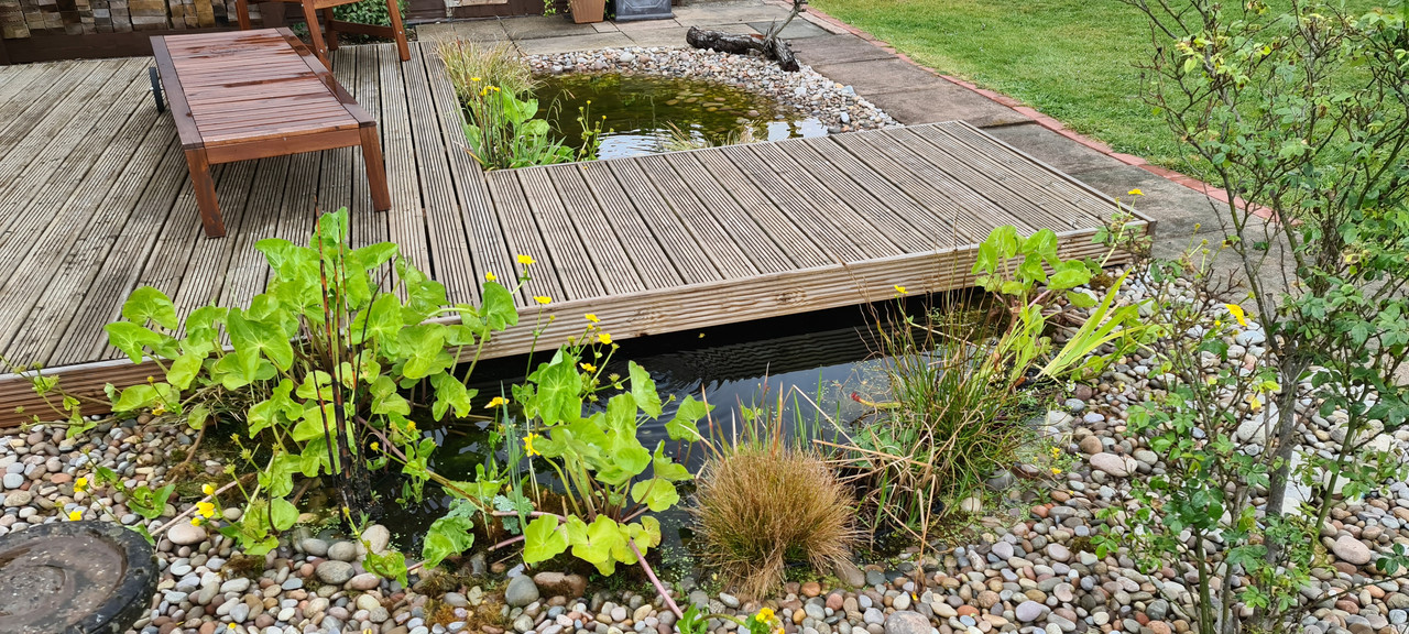 15881542756601688131520783193901