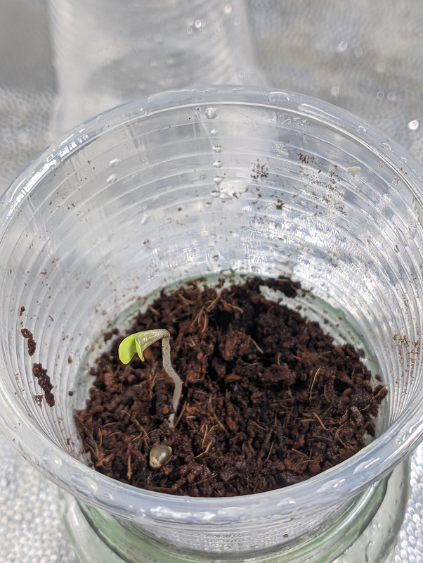 PXL_20230106_214857830