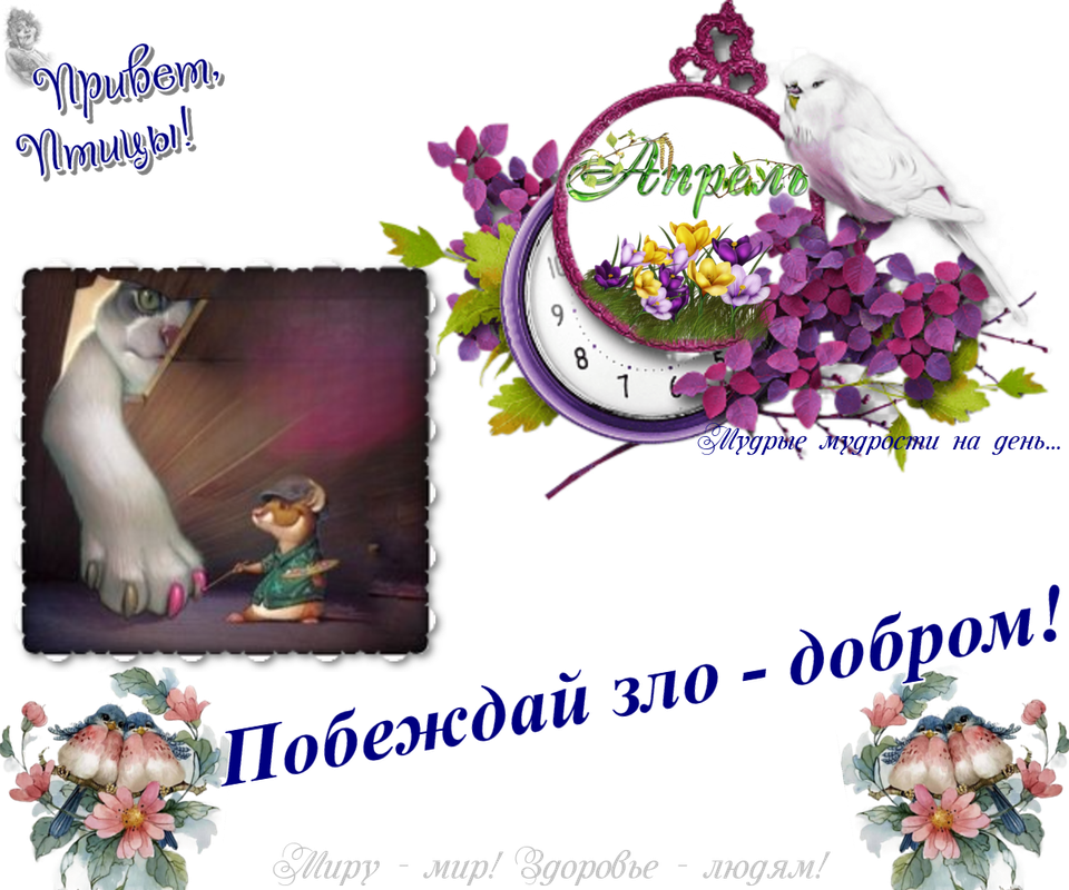 https://i.postimg.cc/1X83NK2X/15-04.png