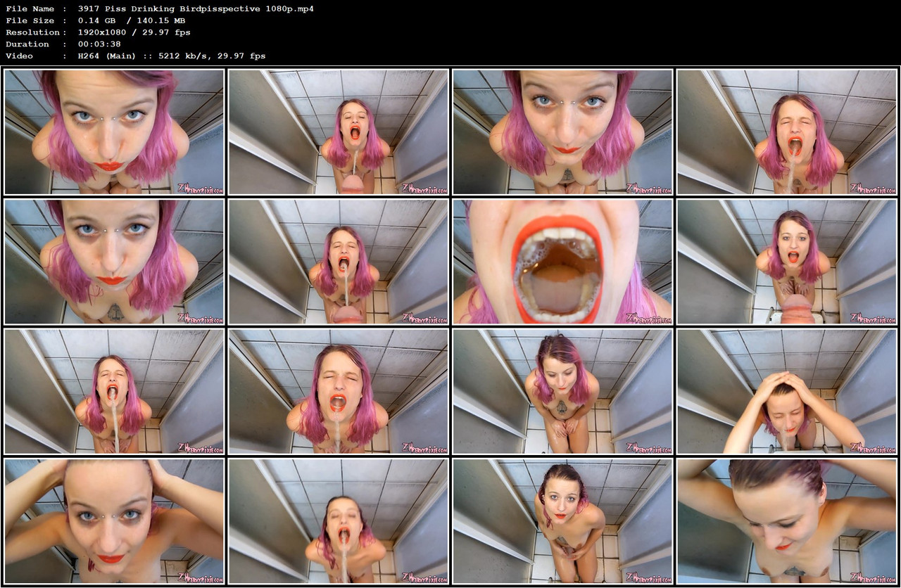 3917 Piss Drinking Birdpisspective 1080p mp4