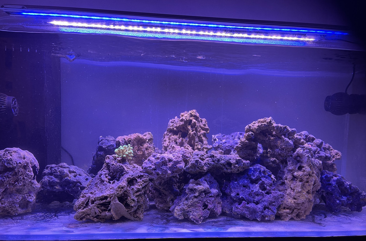 29B7A38B-4EDF-4F19-B1D9-DD33BF17A25E