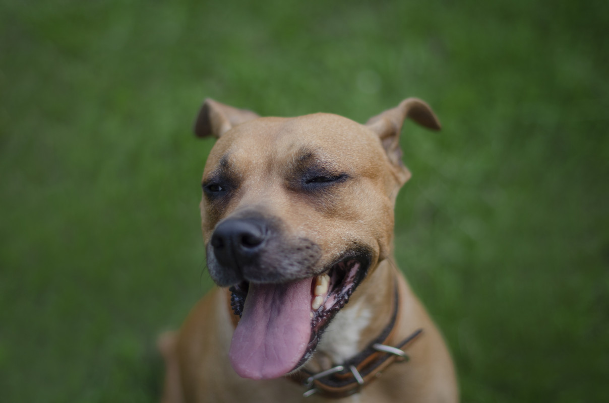 DSC_0308-восстановлено