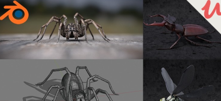 Blender 2.81 - Spiders and insects creation from scratch