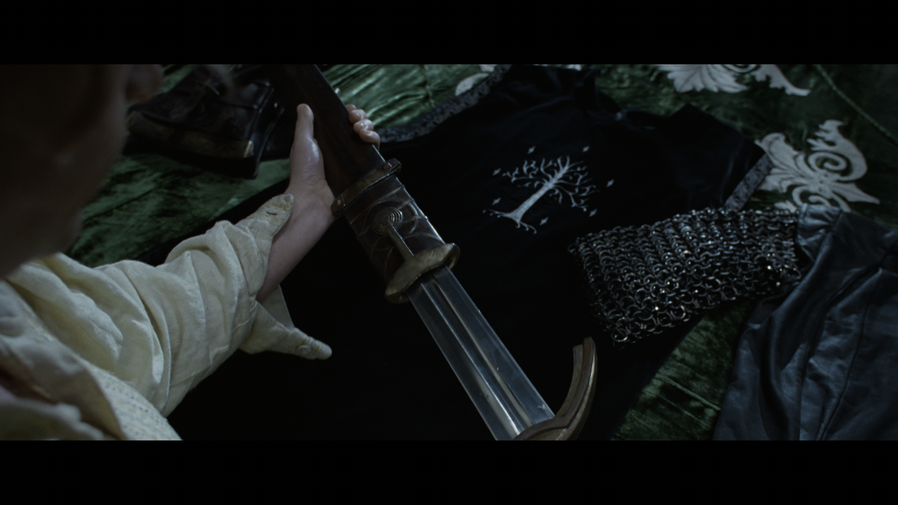 The Lord of the Rings- The Return of the King (EXT.) PT. 1.mkv_snapshot_00.52.31_[2020.12.15_18.46.1