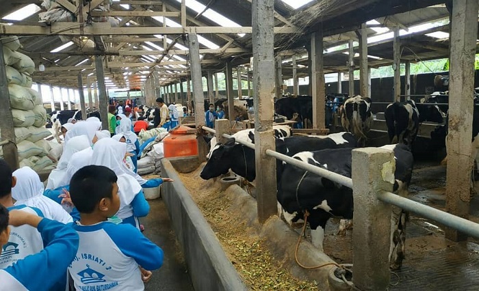 Desa Wisata Sumogawe, Kabupaten Semarang, Jawa Tengah.