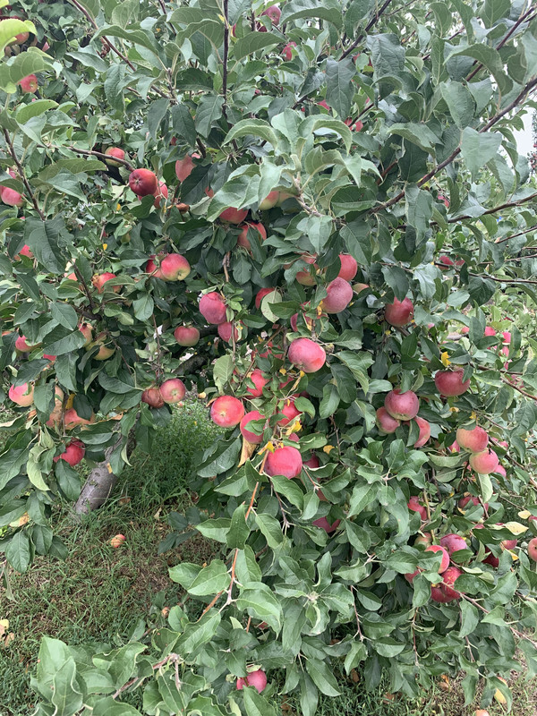 382B5D3C-6216-491E-86A8-18CD87F0EF9A