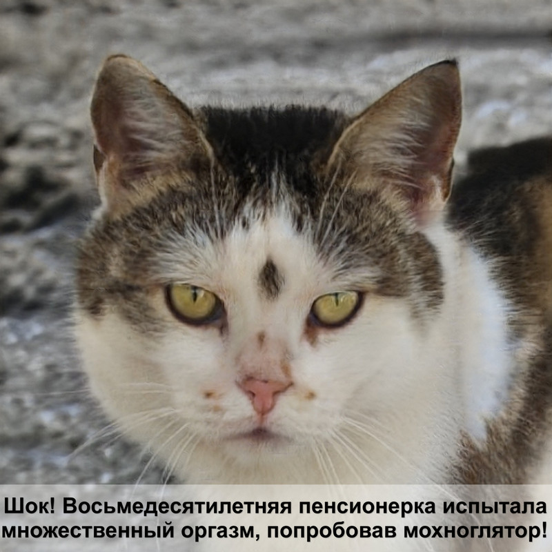 женщина кошка раскраска