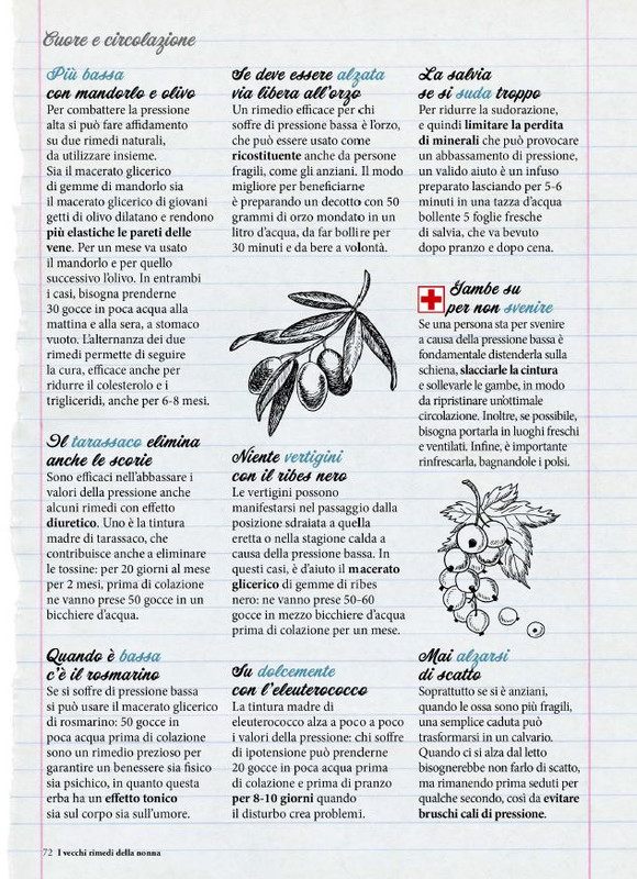 I Vecchi Rimedi della Nonna Fe Mar 2026 (3)