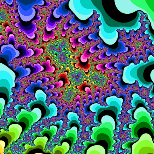 giphy2.gif