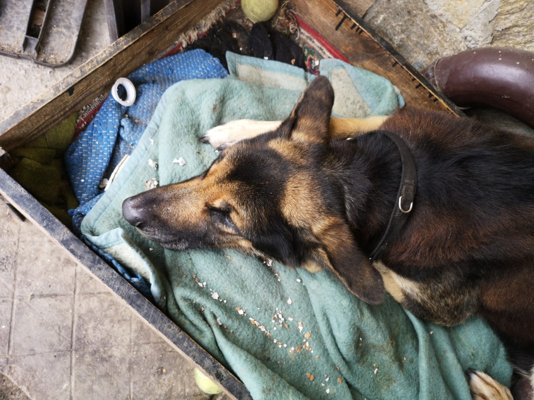 WhatsApp Image 2021-02-17 at 14.32.36 (1)