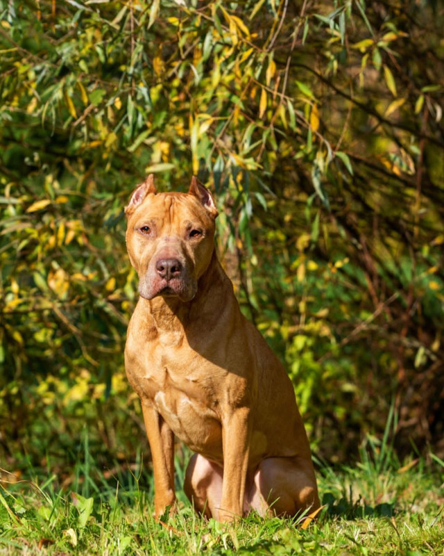 C8EE1E46-15A9-4B81-AE37-07AFDB5627C6