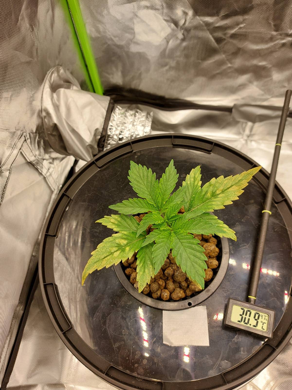 F42E186E-C20A-48C7-BEFF-DC63437DD615