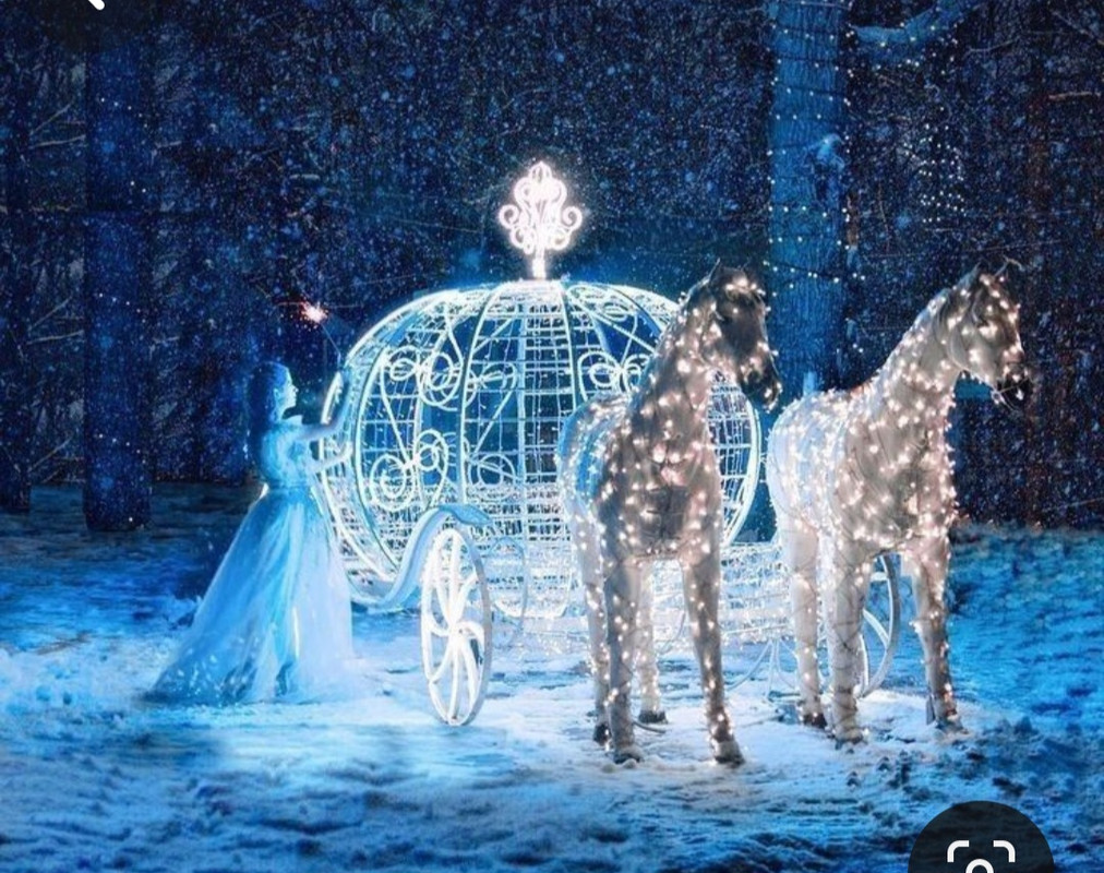 Screenshot_20231217_122222_Pinterest