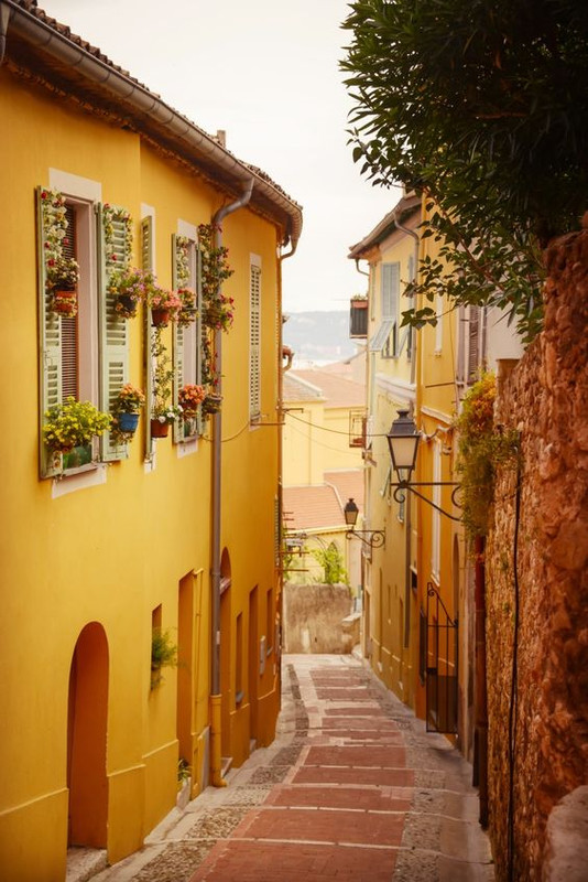 yellow-menton-france-new.jpg