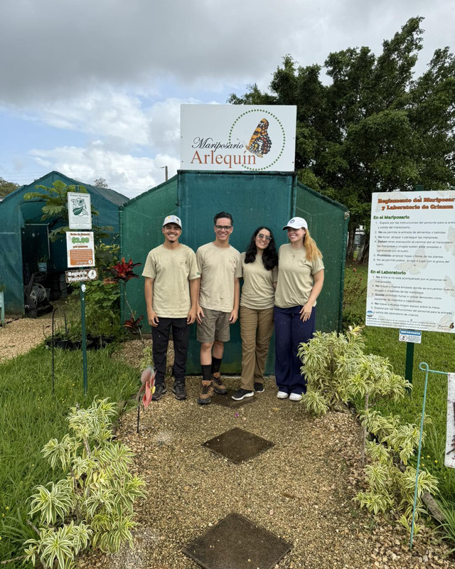 Voluntarios trabajando en un jardín
