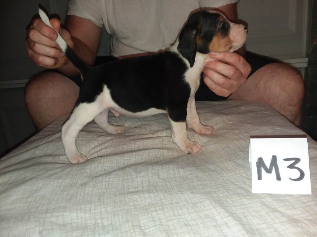 9806FA49-E130-4F57-9FE8-B15926126F39