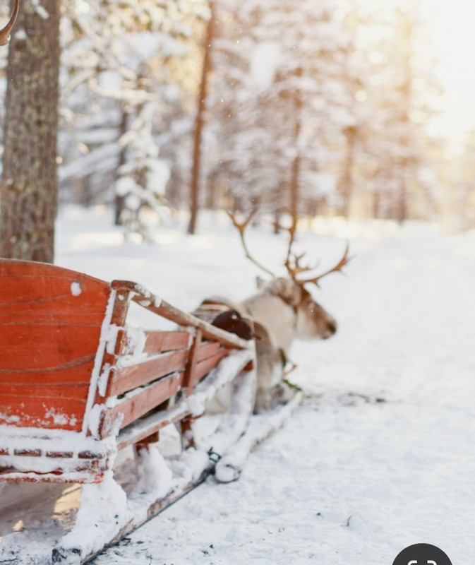 Screenshot_20231205_123428_Pinterest