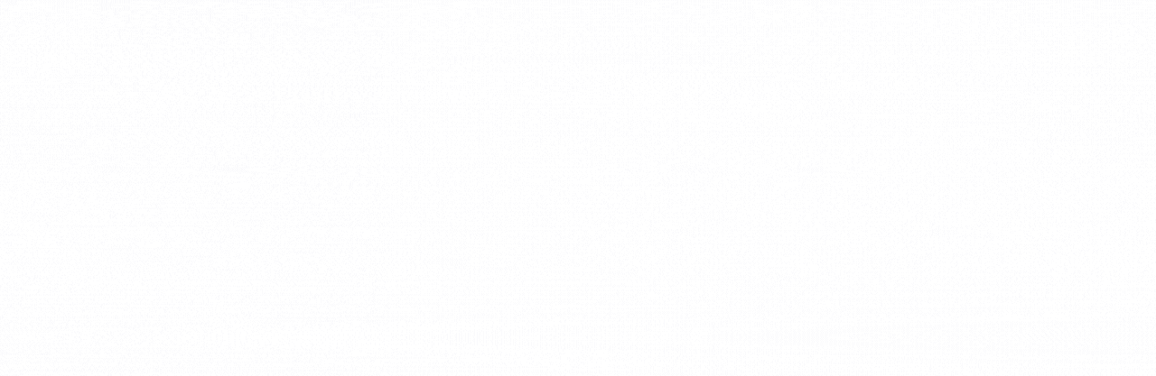 Banner 1