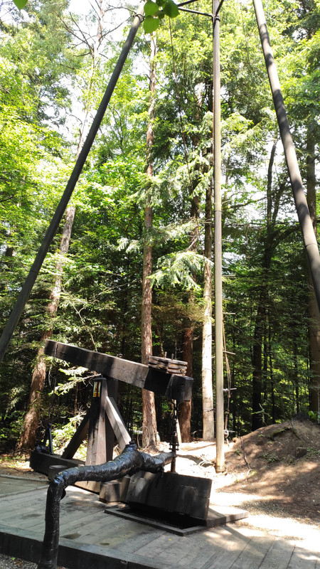 04.12 - IMG_20220617_111716 (Czesio1)