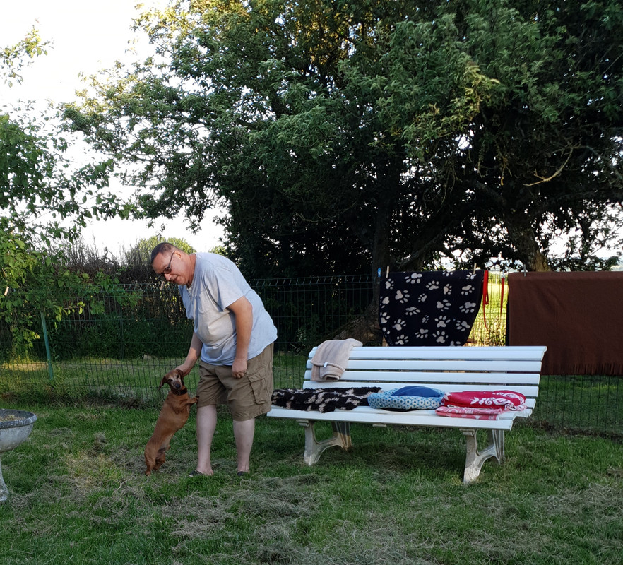 [Image: 20210612-221159.jpg]