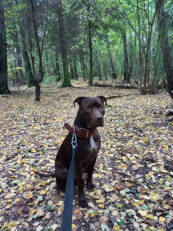 3E4496D9-7006-4D0A-8684-38A13AF4A0E5