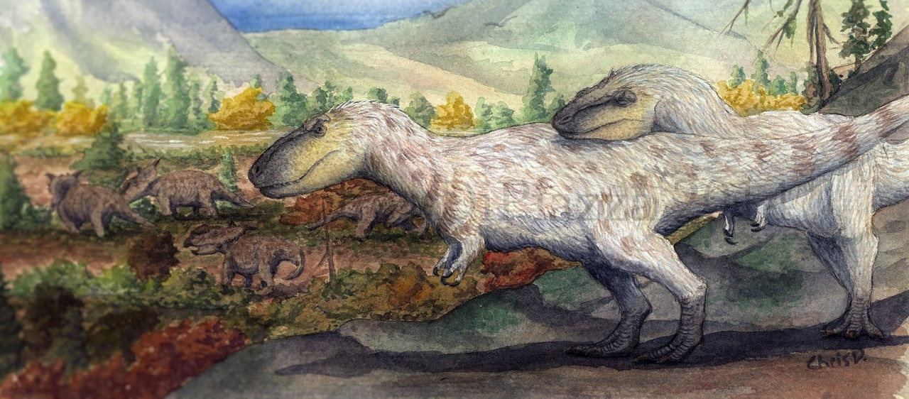 Nanuqsaurus