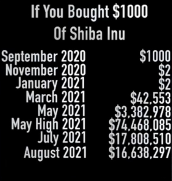 1000.jpg