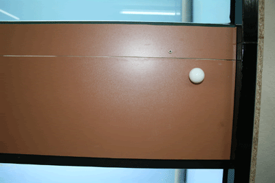 IMG_3668-400.gif