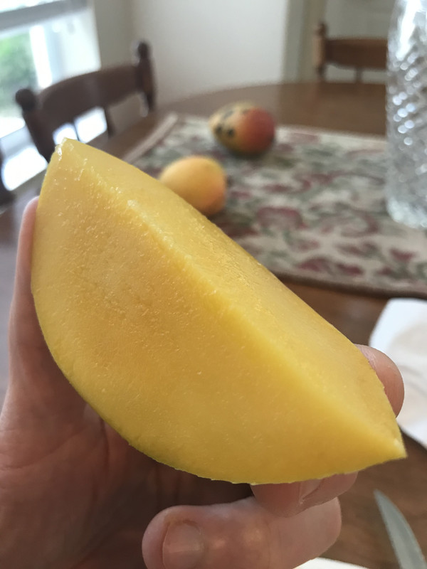 554030E7-A9B6-4BFC-9FD8-0C554D8D1656