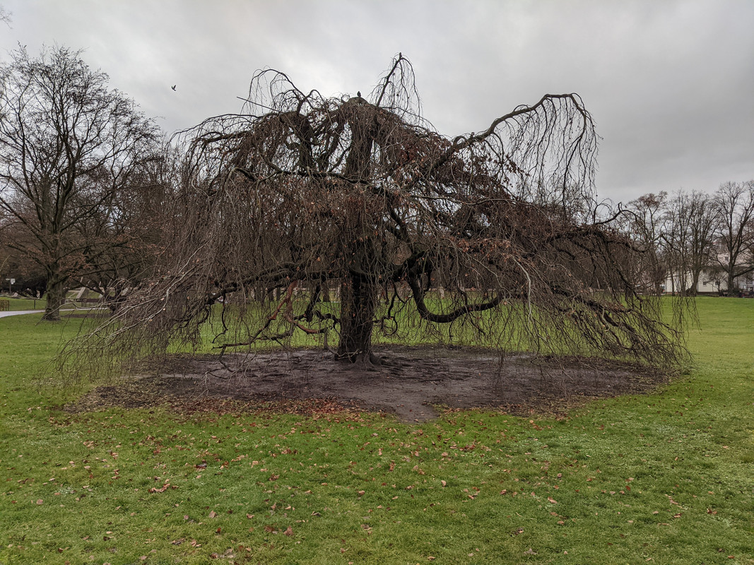 PXL_20201228_131257996