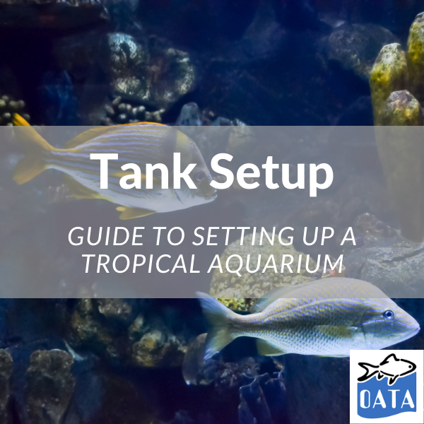 OATA Guide to setting up a Tropical Aquarium - Lincs Aquatics