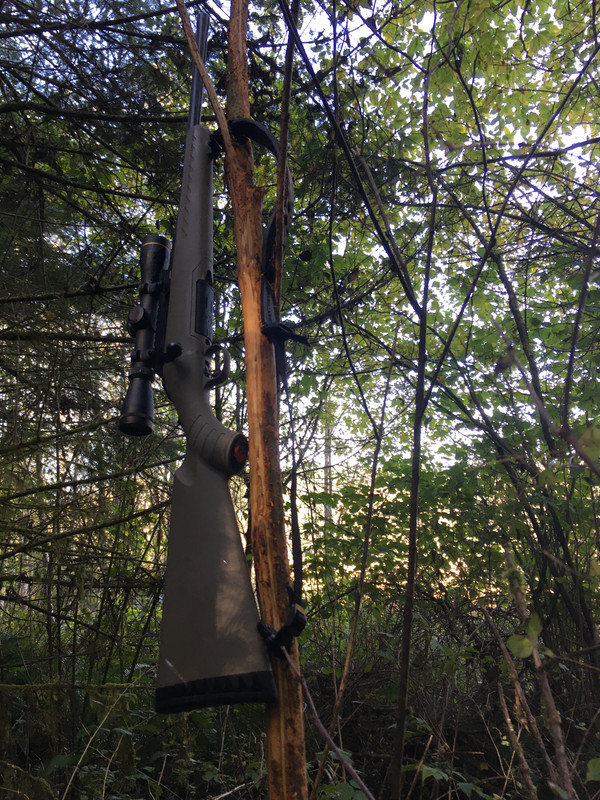 CCF4795C-59C6-4684-B112-CD248F1697F7