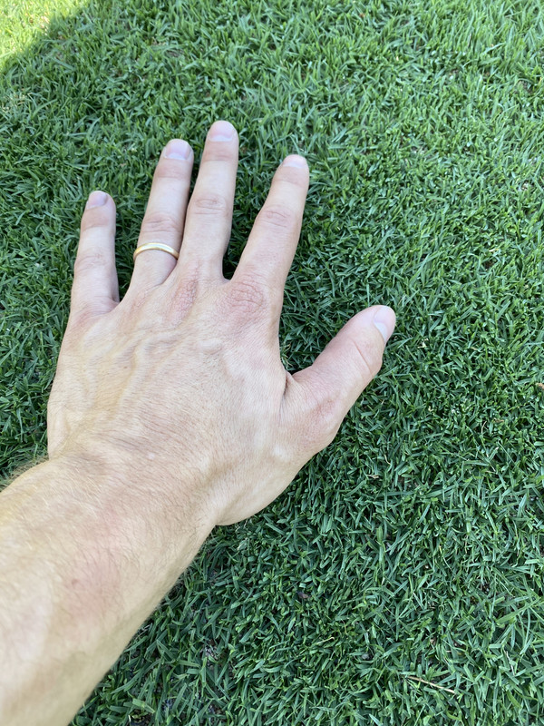 1B89A6DE-0A50-40F5-ABD9-037253C3087D