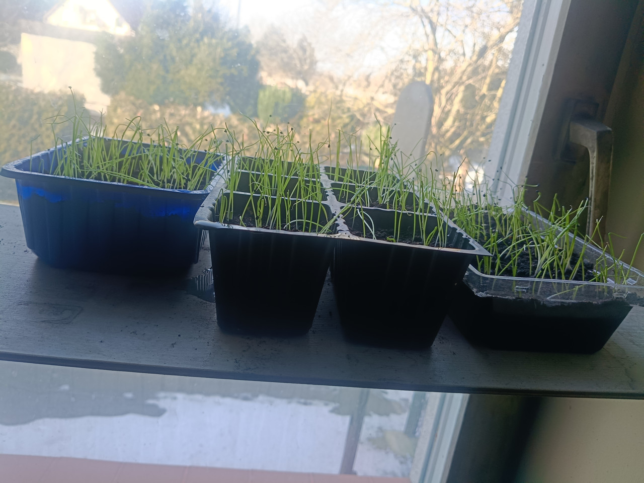 17699396283382857852178695808438