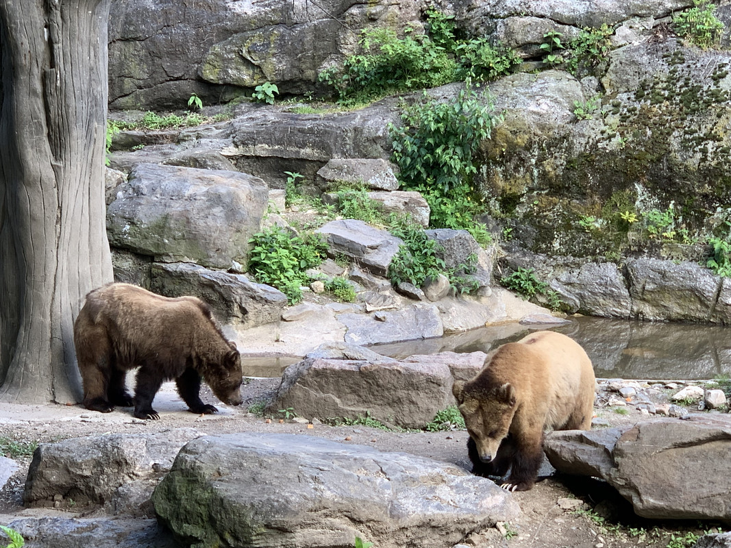 2922FB73-F4C8-4DCA-8A49-4C43BC1C6214