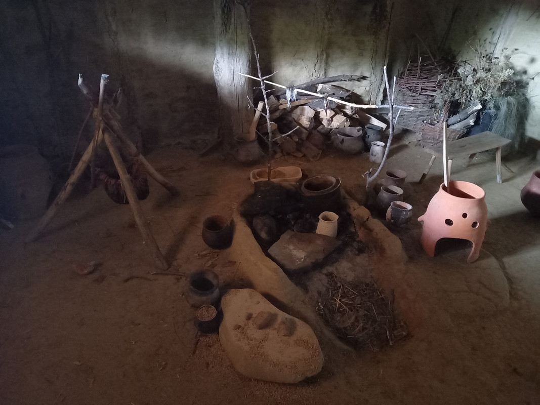 05.17b - 20220617_151149 (TomaszL)