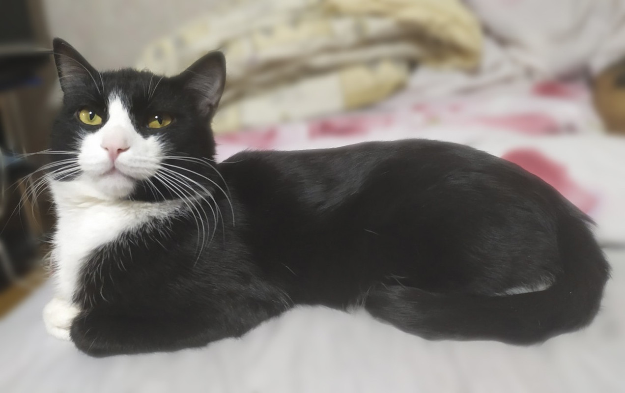 изображение_viber_2021-01-18_15-31-46