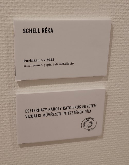 Kép
