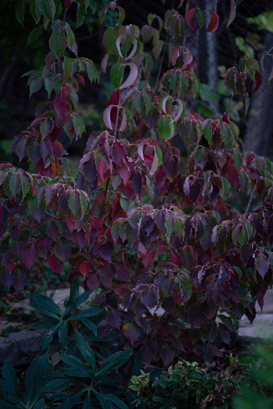 IMG-0b4e2ef4b045bdcc0043d3bb12acc87f-V