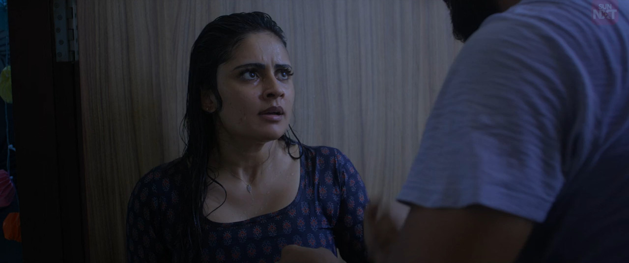 Trending 2025 WebRip [Hindi + Tamil] 480p 720p ESub Screenshot