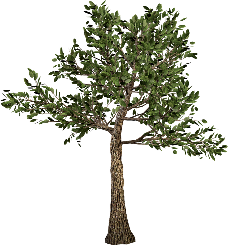 Autumn Witchery (148)